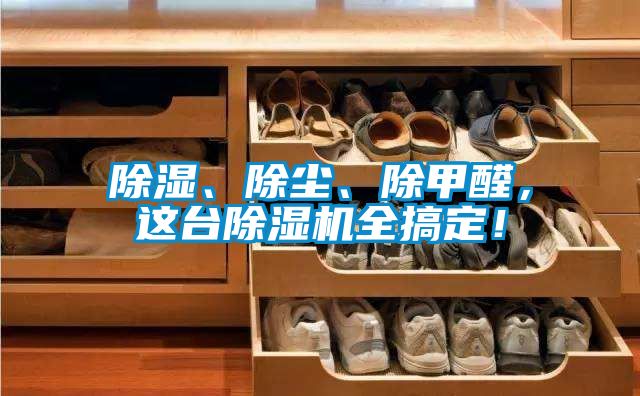 除濕、除塵、除甲醛，這臺(tái)除濕機(jī)全搞定！