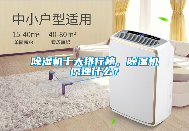 除濕機十大排行榜，除濕機原理什么？