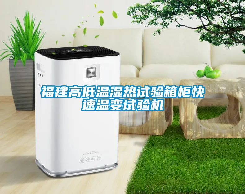 福建高低溫濕熱試驗(yàn)箱柜快速溫變試驗(yàn)機(jī)