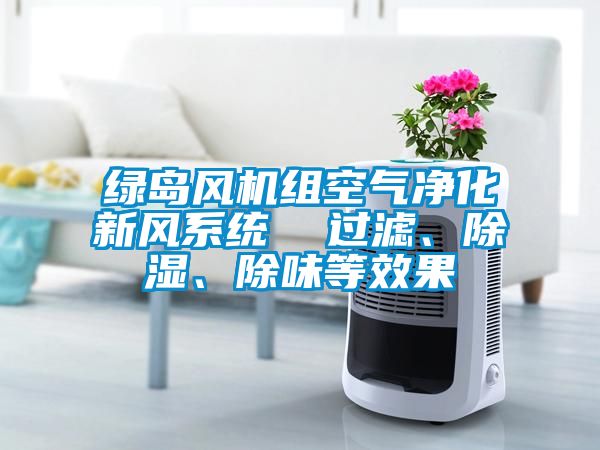 綠島風(fēng)機組空氣凈化新風(fēng)系統(tǒng)  過濾、除濕、除味等效果