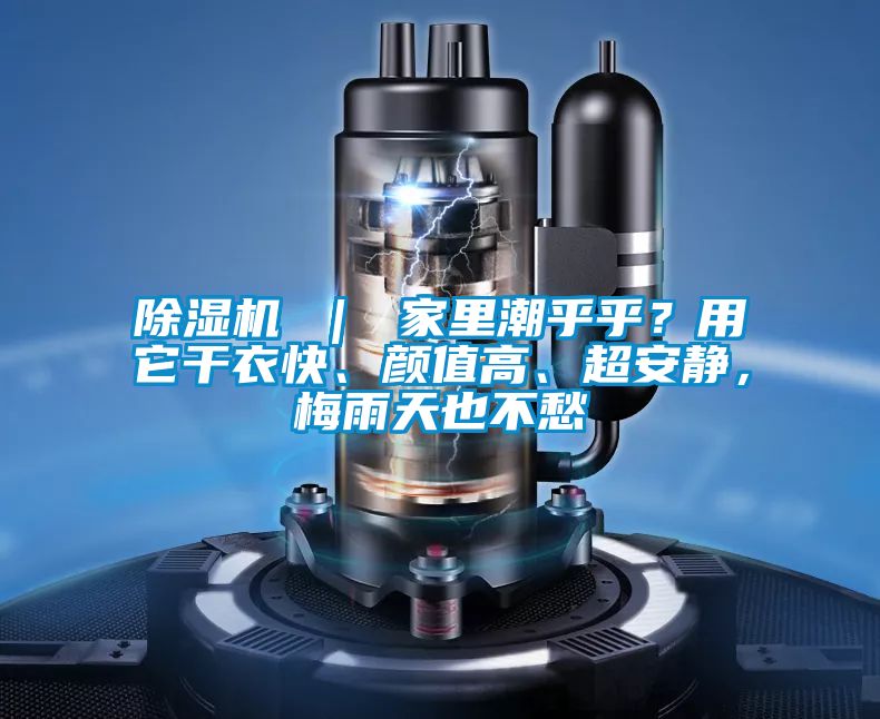 除濕機 ｜ 家里潮乎乎？用它干衣快、顏值高、超安靜，梅雨天也不愁
