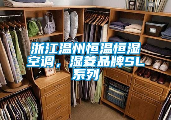 浙江溫州恒溫恒濕空調(diào)，濕菱品牌SL系列