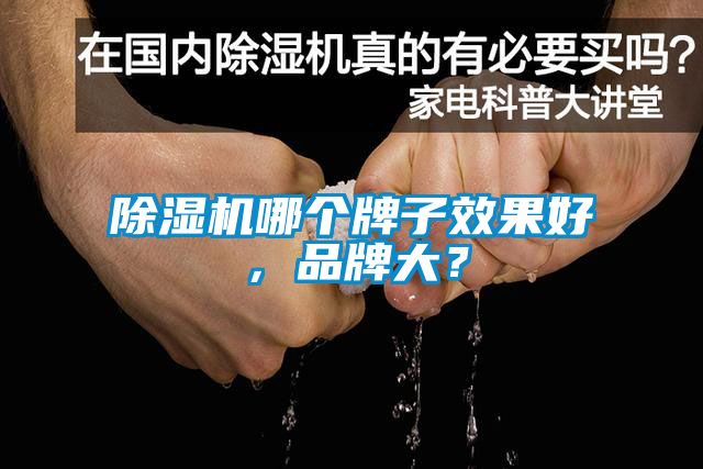 除濕機(jī)哪個牌子效果好，品牌大？