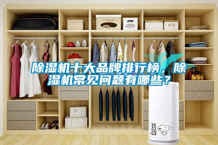 除濕機(jī)十大品牌排行榜，除濕機(jī)常見(jiàn)問(wèn)題有哪些？