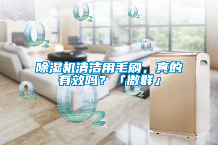 除濕機(jī)清潔用毛刷，真的有效嗎？「傲群」