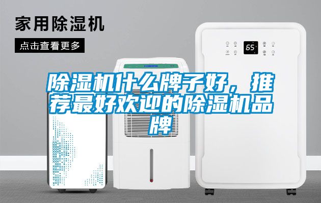 除濕機(jī)什么牌子好，推薦最好歡迎的除濕機(jī)品牌