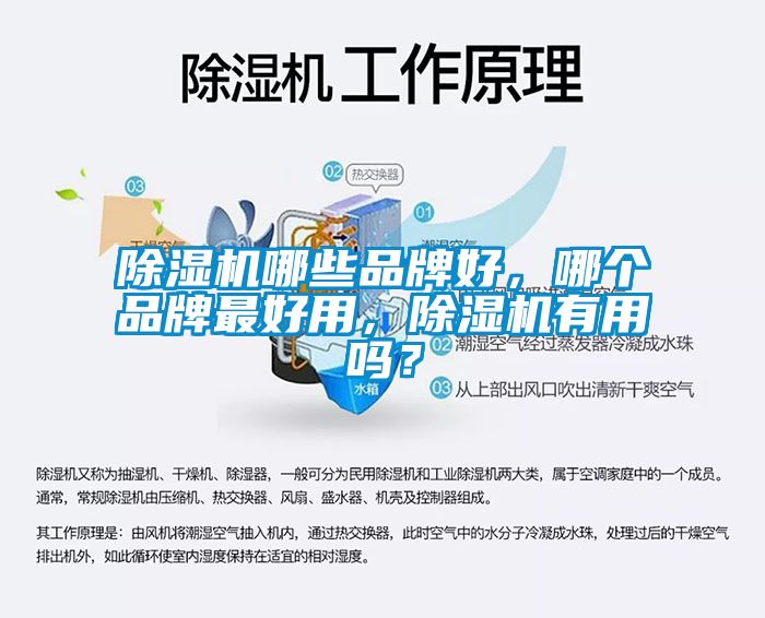 除濕機(jī)哪些品牌好，哪個(gè)品牌最好用，除濕機(jī)有用嗎？