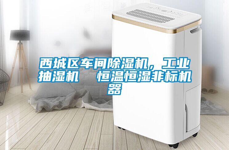 西城區(qū)車(chē)間除濕機(jī)，工業(yè)抽濕機(jī)  恒溫恒濕非標(biāo)機(jī)器