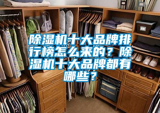 除濕機十大品牌排行榜怎么來的？除濕機十大品牌都有哪些？