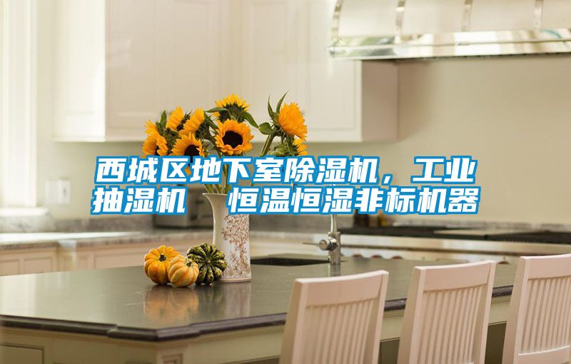 西城區(qū)地下室除濕機，工業(yè)抽濕機  恒溫恒濕非標(biāo)機器