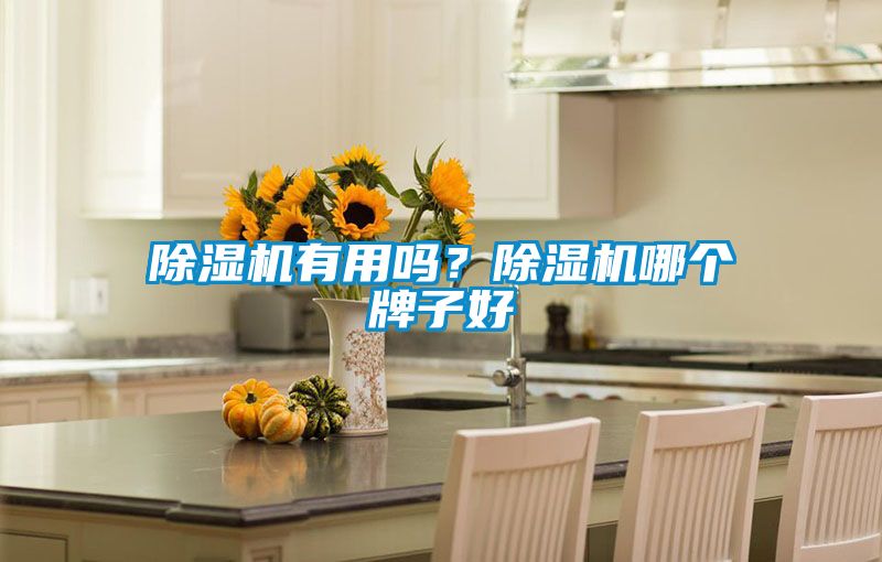 除濕機(jī)有用嗎？除濕機(jī)哪個牌子好