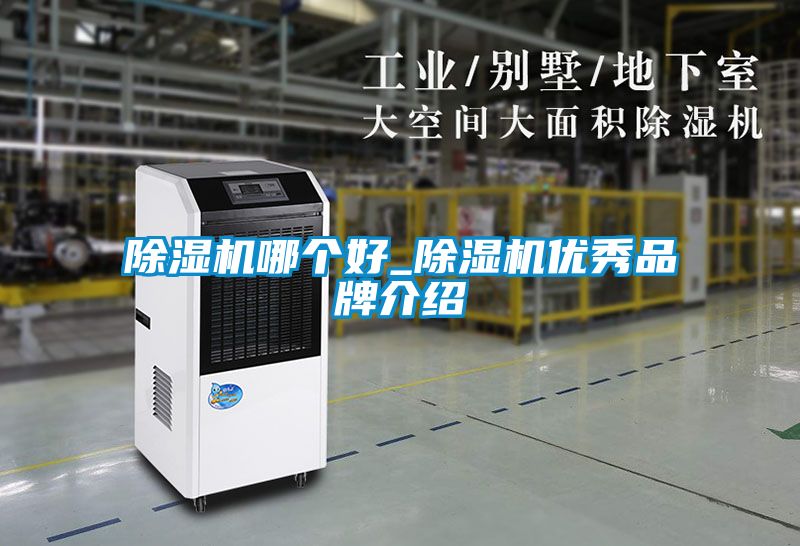 除濕機(jī)哪個好_除濕機(jī)優(yōu)秀品牌介紹