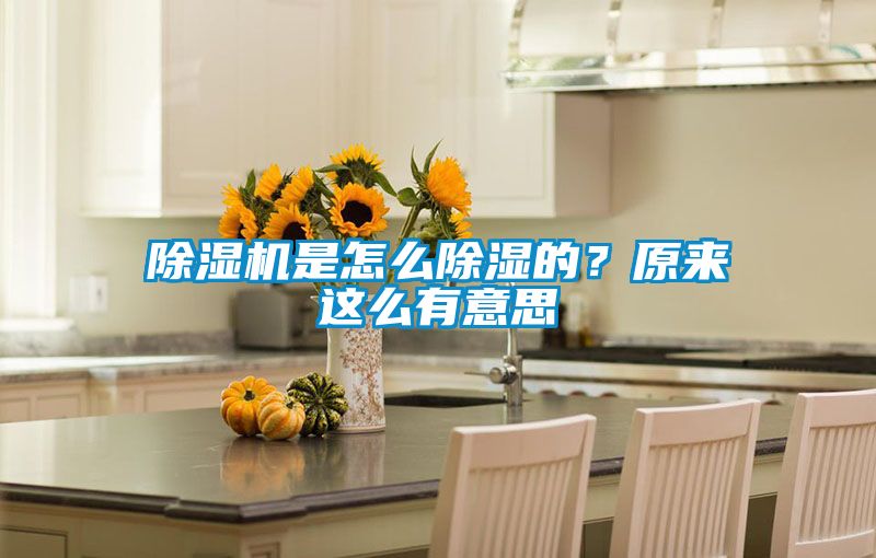 除濕機是怎么除濕的？原來這么有意思