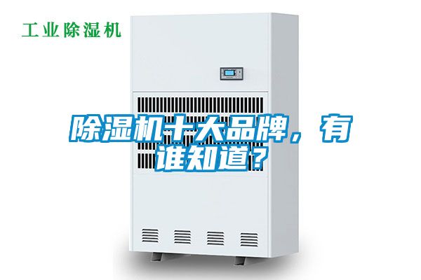 除濕機十大品牌，有誰知道？