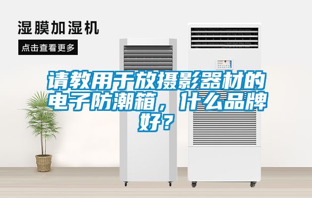 請教用于放攝影器材的電子防潮箱，什么品牌好？