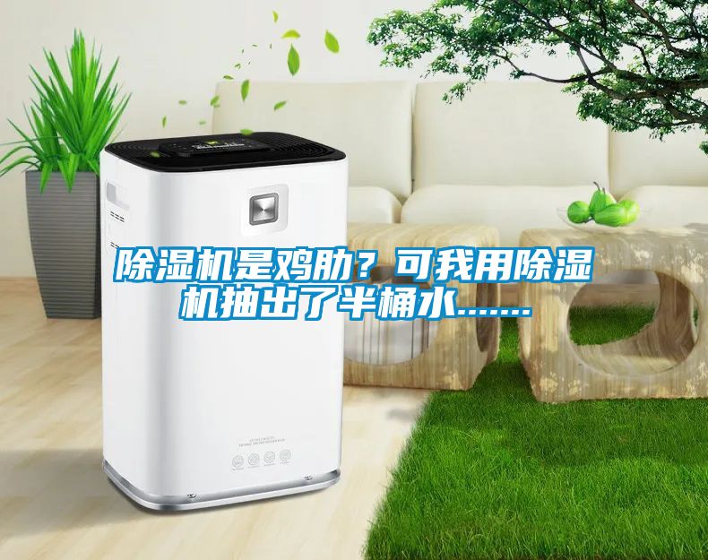 除濕機(jī)是雞肋？可我用除濕機(jī)抽出了半桶水.......