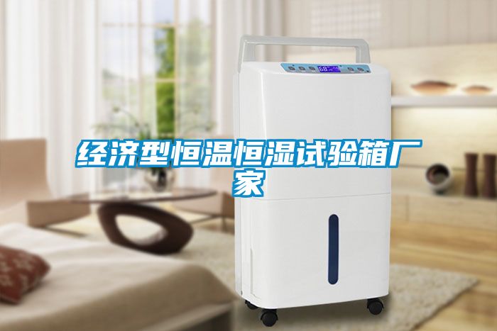 經(jīng)濟(jì)型恒溫恒濕試驗箱廠家
