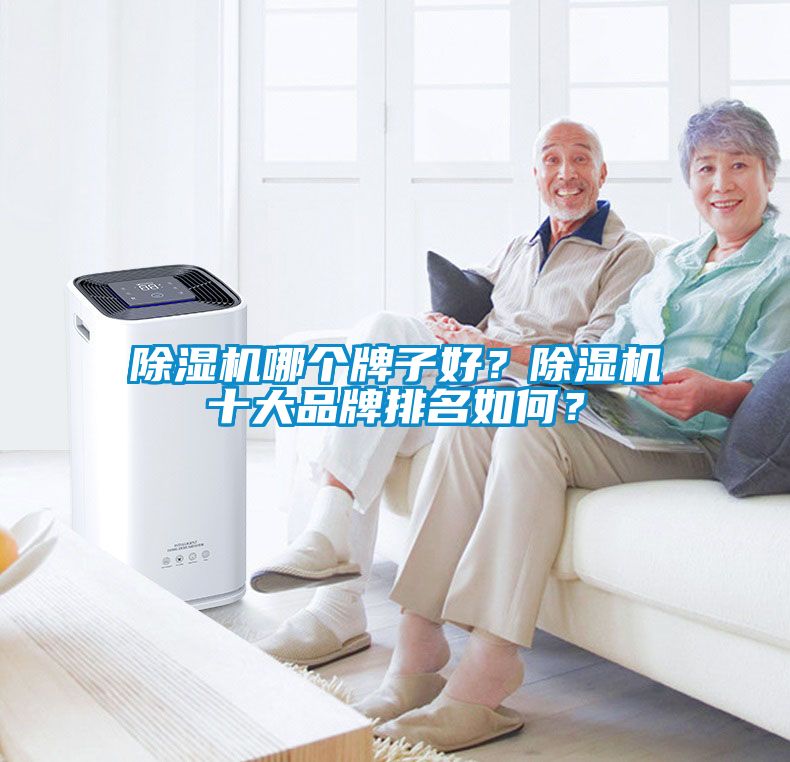 除濕機哪個牌子好？除濕機十大品牌排名如何？