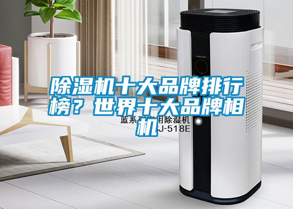 除濕機十大品牌排行榜？世界十大品牌相機
