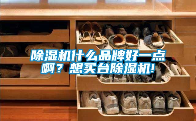 除濕機(jī)什么品牌好一點(diǎn)??？想買(mǎi)臺(tái)除濕機(jī)!