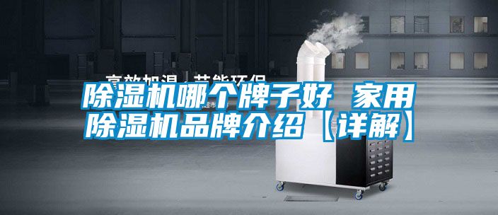 除濕機(jī)哪個牌子好 家用除濕機(jī)品牌介紹【詳解】