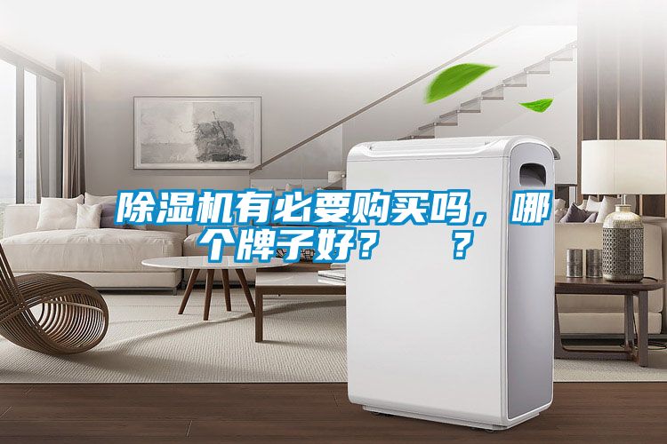 除濕機(jī)有必要購買嗎，哪個(gè)牌子好？  ？