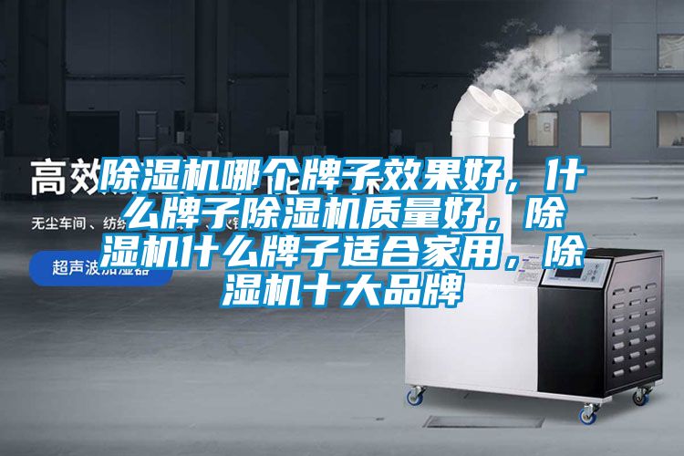 除濕機(jī)哪個牌子效果好，什么牌子除濕機(jī)質(zhì)量好，除濕機(jī)什么牌子適合家用，除濕機(jī)十大品牌