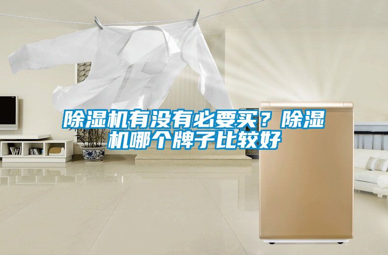 除濕機(jī)有沒有必要買？除濕機(jī)哪個(gè)牌子比較好