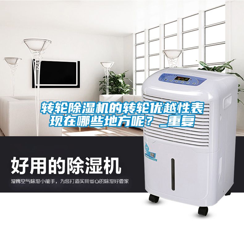 轉(zhuǎn)輪除濕機(jī)的轉(zhuǎn)輪優(yōu)越性表現(xiàn)在哪些地方呢？_重復(fù)