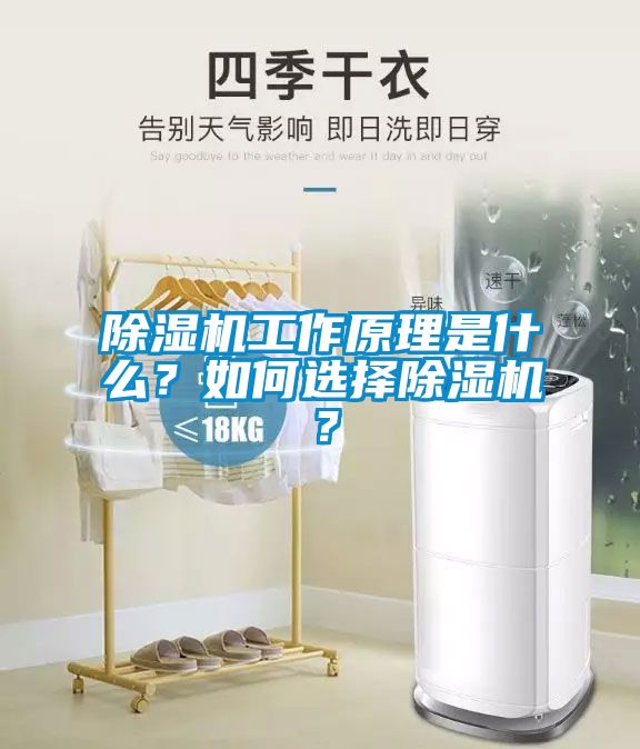 除濕機工作原理是什么？如何選擇除濕機？