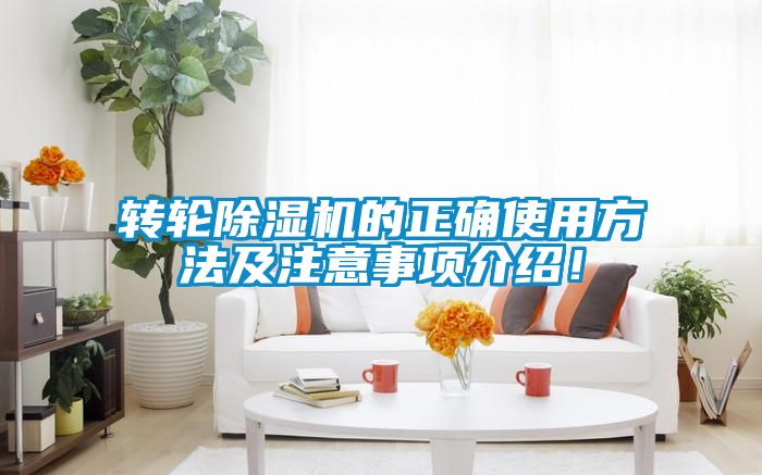 轉(zhuǎn)輪除濕機(jī)的正確使用方法及注意事項(xiàng)介紹！