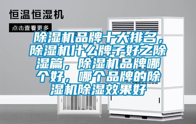 除濕機(jī)品牌十大排名，除濕機(jī)什么牌子好之除濕篇，除濕機(jī)品牌哪個好，哪個品牌的除濕機(jī)除濕效果好