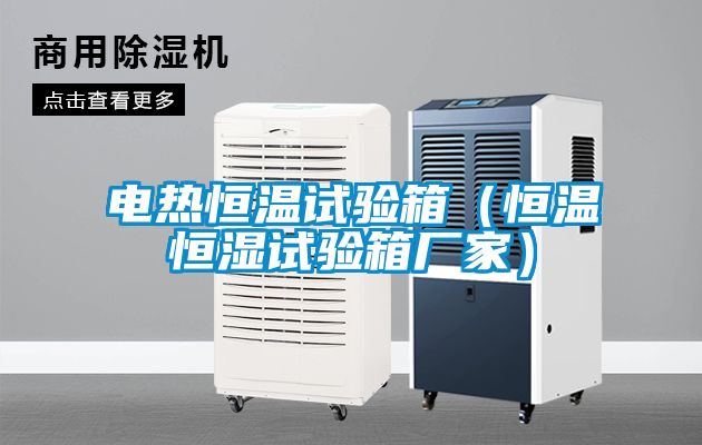 電熱恒溫試驗(yàn)箱（恒溫恒濕試驗(yàn)箱廠(chǎng)家）