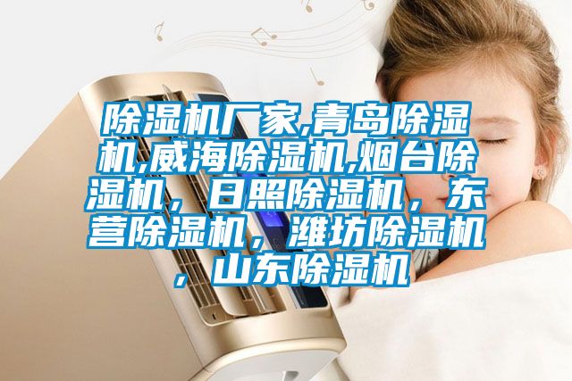 除濕機廠家,青島除濕機,威海除濕機,煙臺除濕機，日照除濕機，東營除濕機，濰坊除濕機，山東除濕機