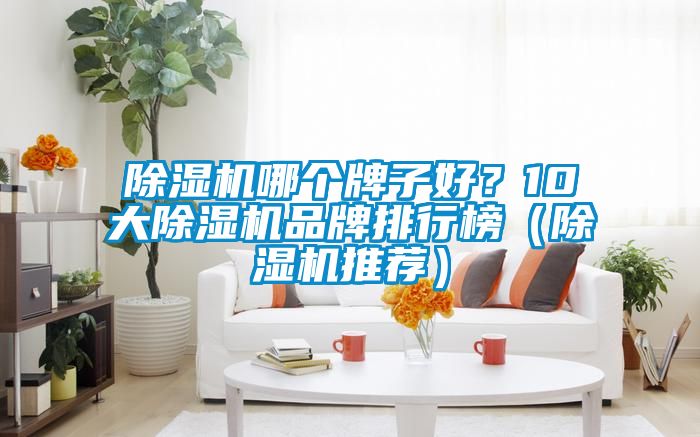 除濕機(jī)哪個(gè)牌子好？10大除濕機(jī)品牌排行榜（除濕機(jī)推薦）