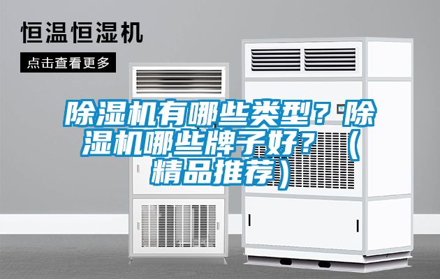 除濕機(jī)有哪些類型？除濕機(jī)哪些牌子好？（精品推薦）