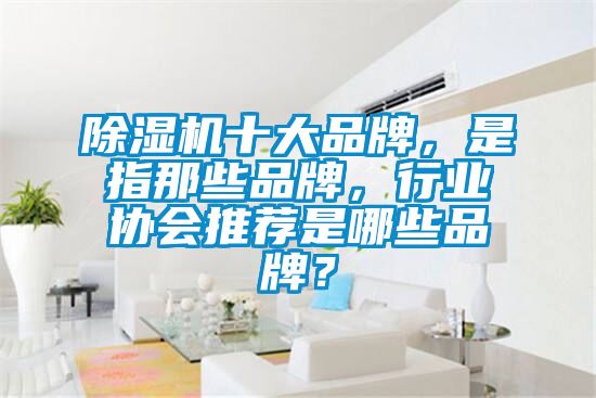 除濕機(jī)十大品牌，是指那些品牌，行業(yè)協(xié)會推薦是哪些品牌？