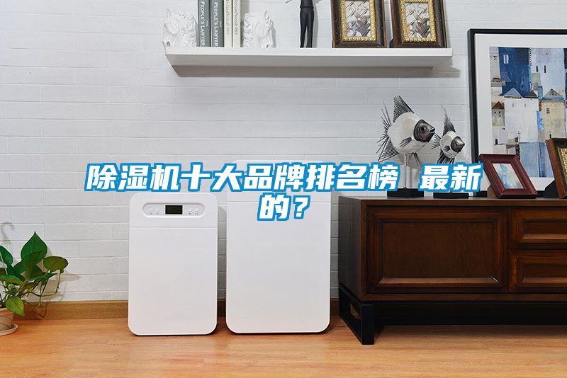 除濕機十大品牌排名榜 最新的？