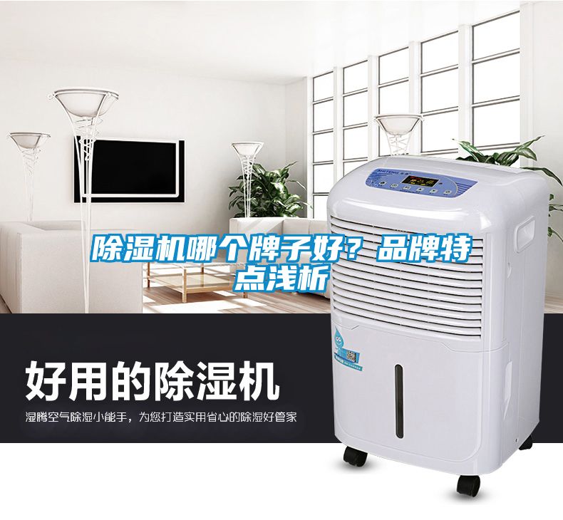 除濕機(jī)哪個(gè)牌子好？品牌特點(diǎn)淺析
