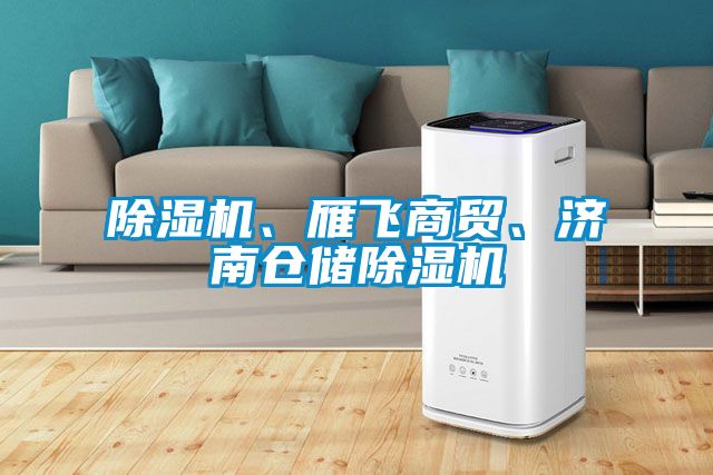 除濕機(jī)、雁飛商貿(mào)、濟(jì)南倉(cāng)儲(chǔ)除濕機(jī)