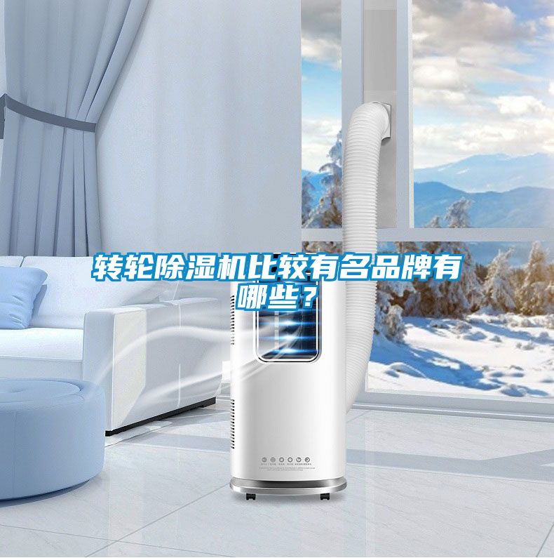 轉(zhuǎn)輪除濕機(jī)比較有名品牌有哪些？