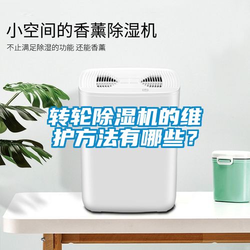 轉(zhuǎn)輪除濕機(jī)的維護(hù)方法有哪些？