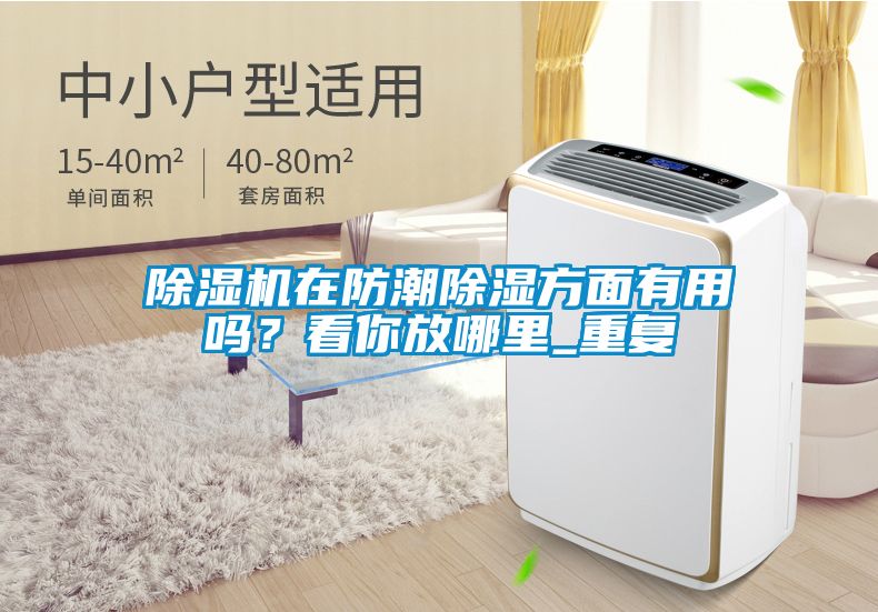 除濕機(jī)在防潮除濕方面有用嗎？看你放哪里_重復(fù)