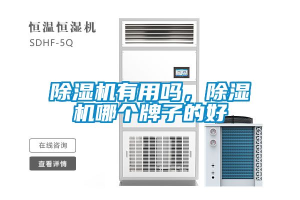 除濕機(jī)有用嗎，除濕機(jī)哪個牌子的好