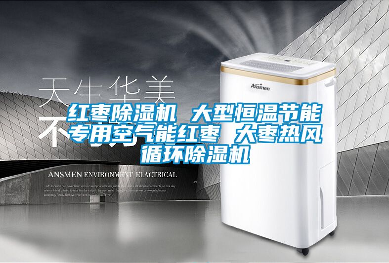 紅棗除濕機 大型恒溫節(jié)能專用空氣能紅棗 大棗熱風(fēng)循環(huán)除濕機