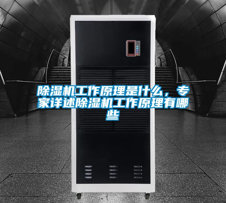 除濕機工作原理是什么，專家詳述除濕機工作原理有哪些
