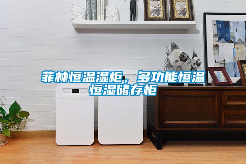 菲林恒溫濕柜，多功能恒溫恒濕儲(chǔ)存柜