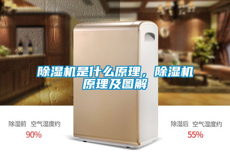 除濕機(jī)是什么原理，除濕機(jī)原理及圖解