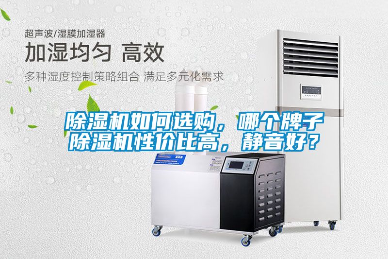 除濕機(jī)如何選購(gòu)，哪個(gè)牌子除濕機(jī)性?xún)r(jià)比高，靜音好？