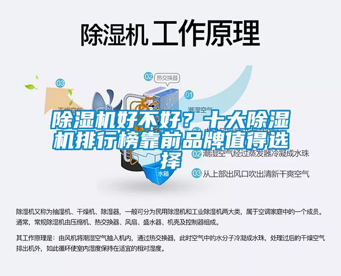 除濕機好不好？十大除濕機排行榜靠前品牌值得選擇